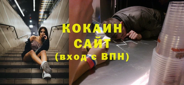 шишки Семикаракорск